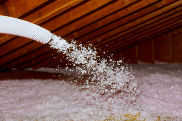 Types of Insulation We Offer in Immokalee, FL