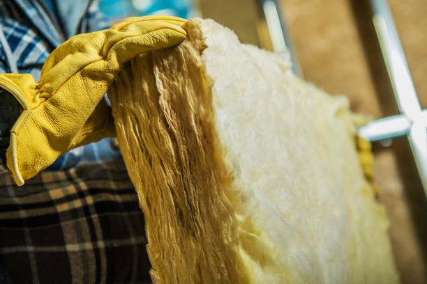 Types of Insulation We Offer in Immokalee, FL