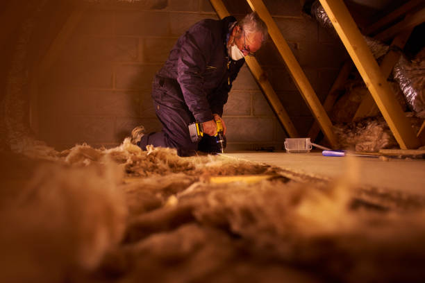 Best Cellulose Insulation in Immokalee, FL